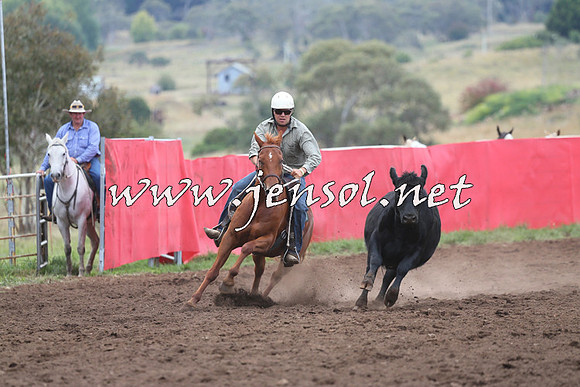 NimmitabelCampdraft2015_1664