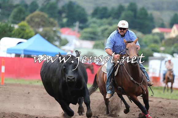 NimmitabelCampdraft2015_1588