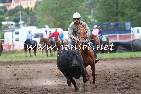 NimmitabelCampdraft2015_1676