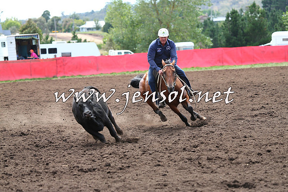 NimmitabelCampdraft2015_1299