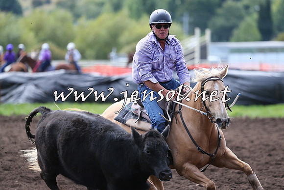 NimmitabelCampdraft2015_1237