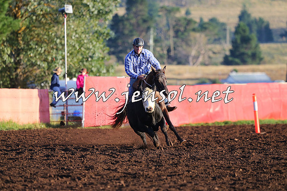 NimmitabelCampdraft2015_1007