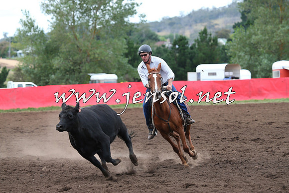 NimmitabelCampdraft2015_1718