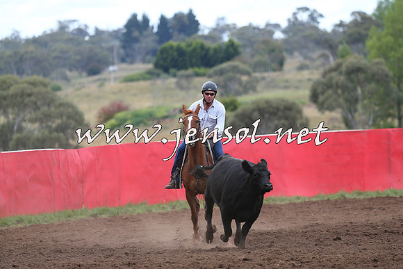 NimmitabelCampdraft2015_1716