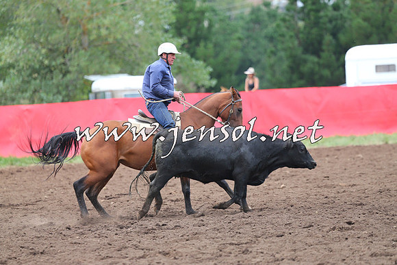 NimmitabelCampdraft2015_1652