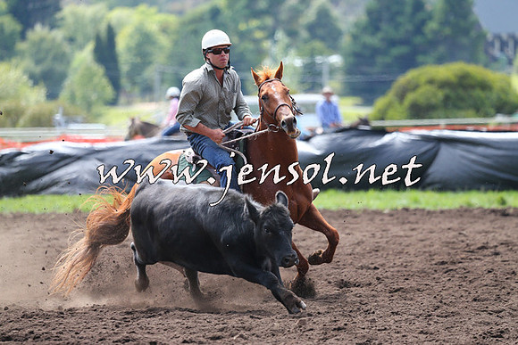NimmitabelCampdraft2015_1173