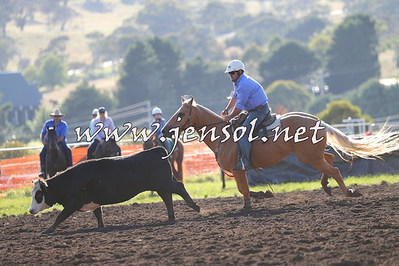 NimmitabelCampdraft2015_1089