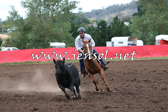 NimmitabelCampdraft2015_1720