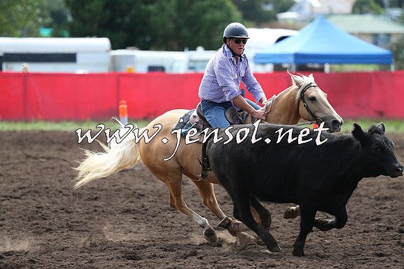 NimmitabelCampdraft2015_1230