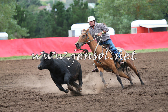 NimmitabelCampdraft2015_1709
