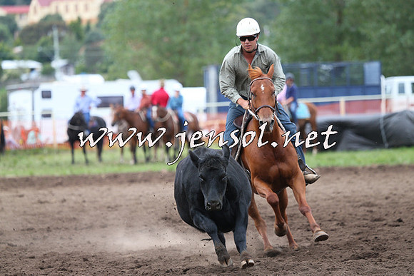 NimmitabelCampdraft2015_1677
