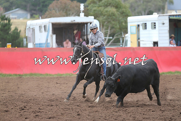 NimmitabelCampdraft2015_1633