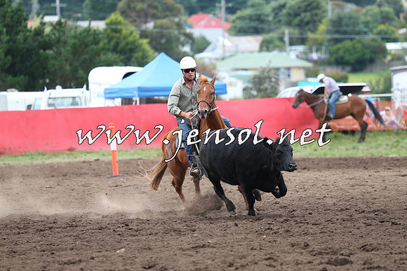NimmitabelCampdraft2015_1672