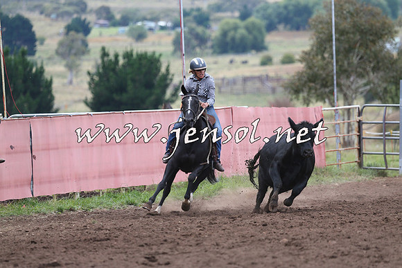 NimmitabelCampdraft2015_1606