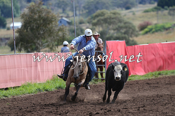 NimmitabelCampdraft2015_1197