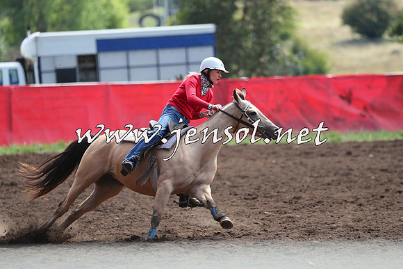 NimmitabelCampdraft2015_1146