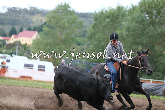 NimmitabelCampdraft2015_1565
