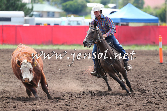 NimmitabelCampdraft2015_1163