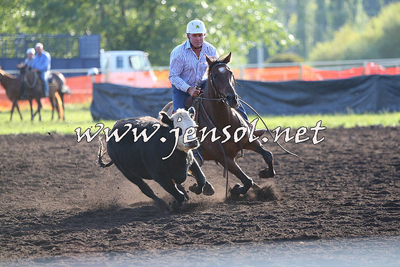 NimmitabelCampdraft2015_1052