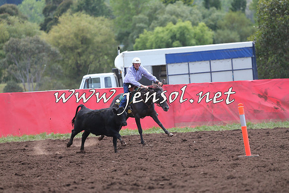 NimmitabelCampdraft2015_1288
