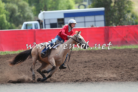 NimmitabelCampdraft2015_1147