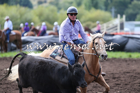 NimmitabelCampdraft2015_1235