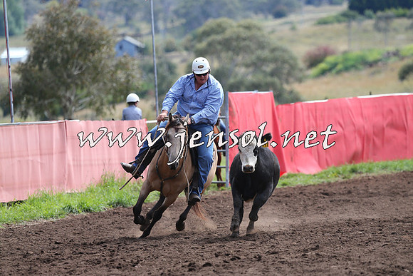 NimmitabelCampdraft2015_1198