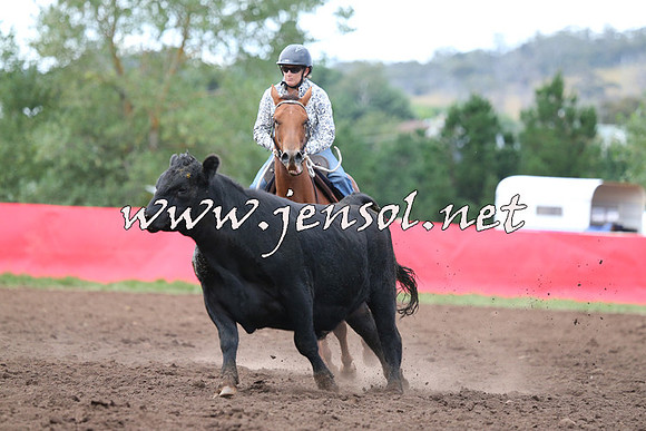 NimmitabelCampdraft2015_1526