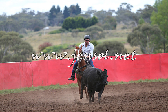 NimmitabelCampdraft2015_1717