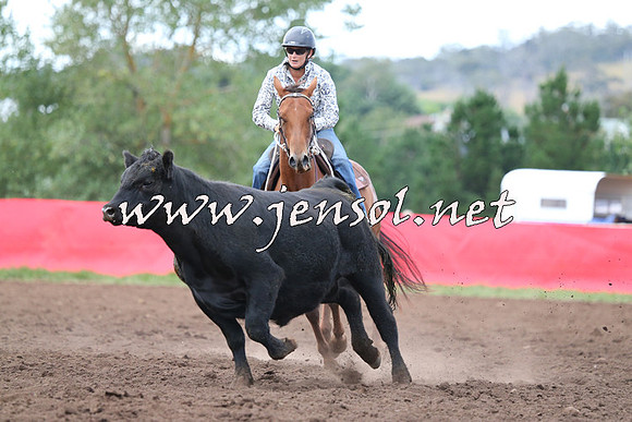 NimmitabelCampdraft2015_1530