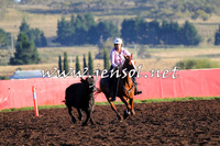NimmitabelCampdraft2015_1028