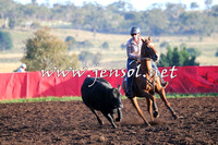 NimmitabelCampdraft2015_1019
