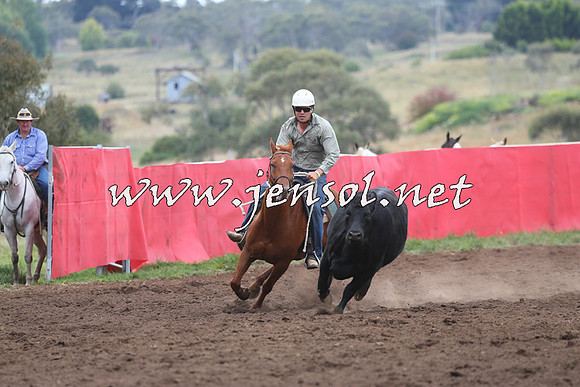 NimmitabelCampdraft2015_1663