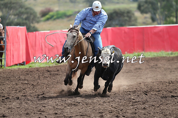 NimmitabelCampdraft2015_1208