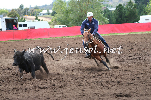 NimmitabelCampdraft2015_1297
