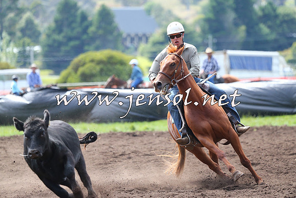 NimmitabelCampdraft2015_1169