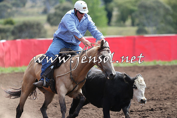 NimmitabelCampdraft2015_1203