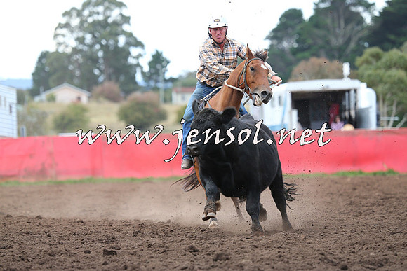 NimmitabelCampdraft2015_1576