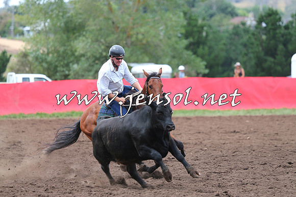 NimmitabelCampdraft2015_1645