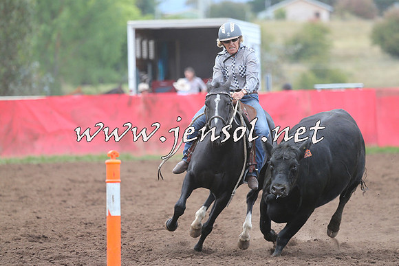 NimmitabelCampdraft2015_1640