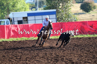 NimmitabelCampdraft2015_1045