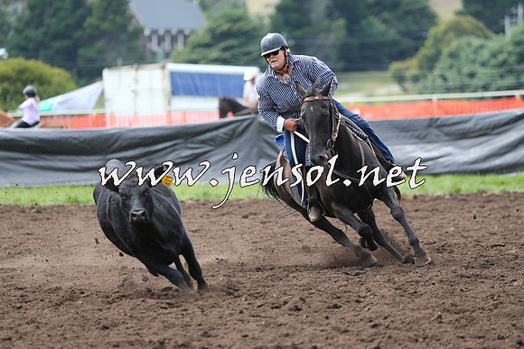 NimmitabelCampdraft2015_1264
