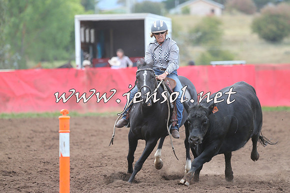 NimmitabelCampdraft2015_1638