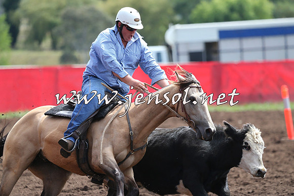 NimmitabelCampdraft2015_1210