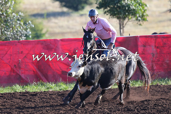 NimmitabelCampdraft2015_1065