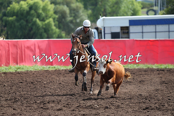 NimmitabelCampdraft2015_1136