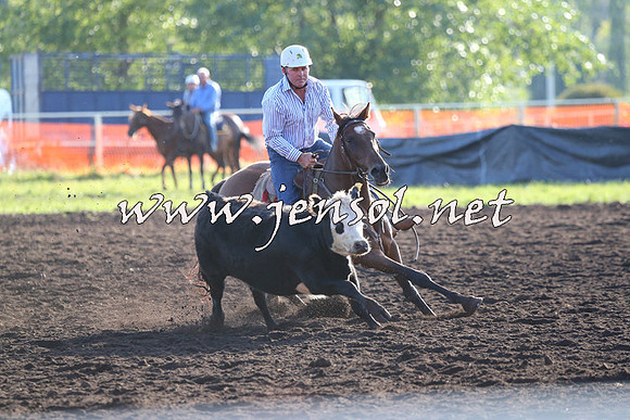 NimmitabelCampdraft2015_1047