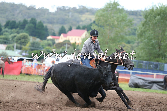 NimmitabelCampdraft2015_1567