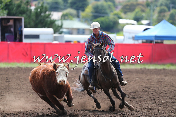 NimmitabelCampdraft2015_1166