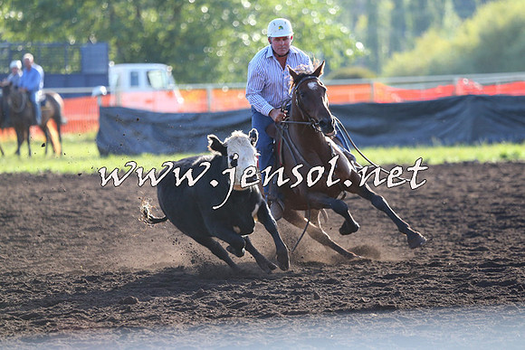NimmitabelCampdraft2015_1054